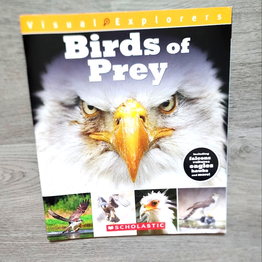 Birds of Prey Visual Explorers Scholastic Nonfiction Paperback Picture Book 2017